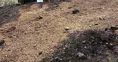 Spil Dağı'nda çıkan yangın söndürüldü