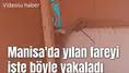 Manisa'da yılan fareyi işte böyle yakaladı