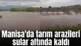 Manisa'da tarım arazileri sular altında kaldı