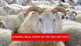 Resmi Gazete'de yayımlandı: O kuralı ihlal edene 839 bin lira dev ceza