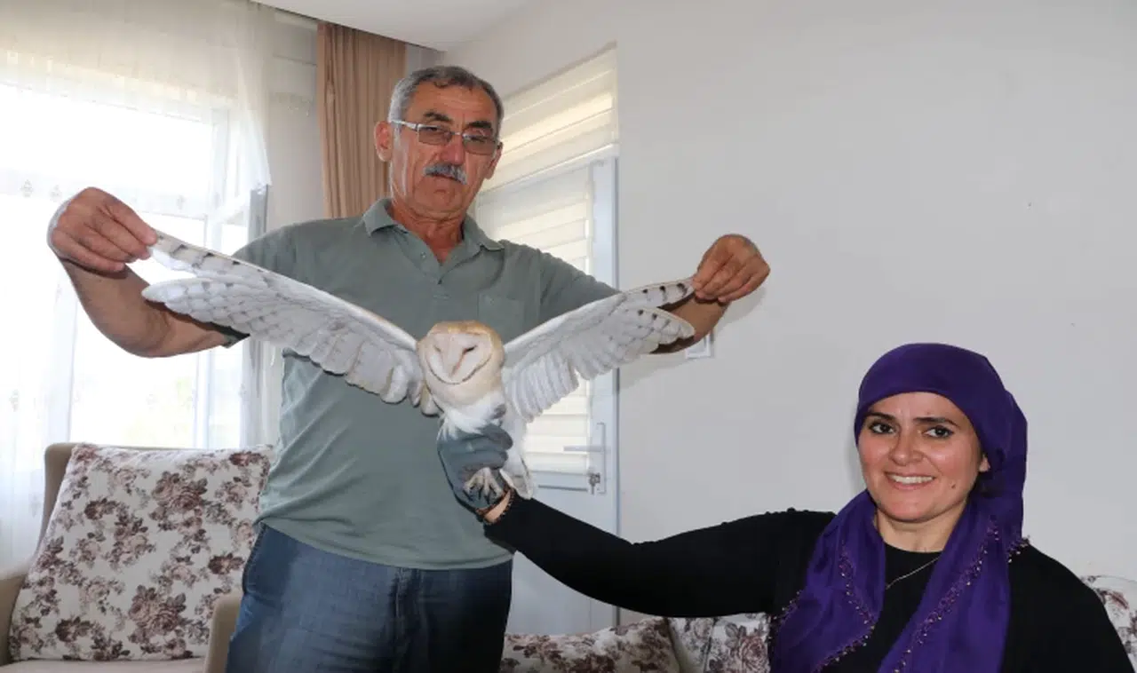 Talih Kuşu Evlerine Kondu