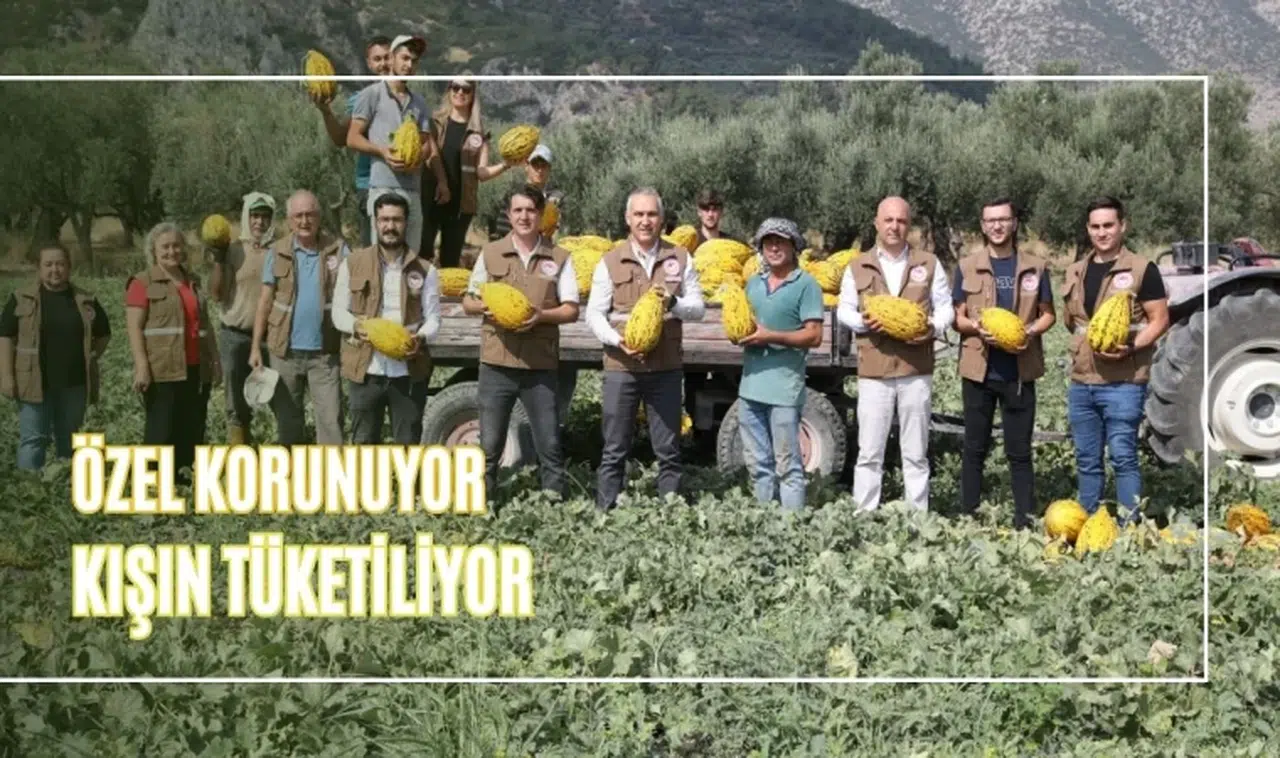 Özel Korunuyor, Kışın Tüketiliyor