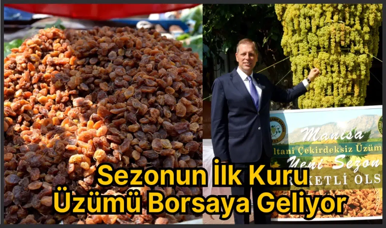 Sezonun İlk Kuru Üzümü Borsaya Geliyor