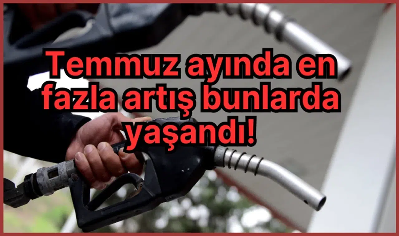 Temmuz ayında en fazla artış bunlarda yaşandı!