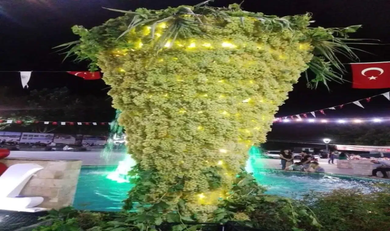 15 Sarıgöl Sultani Üzüm Festivalinde Dev Üzüm Dikkat Çekti