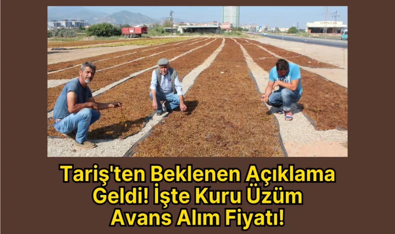Tariş'ten Beklenen Açıklama Geldi! İşte Kuru Üzüm Avans Alım Fiyatı!