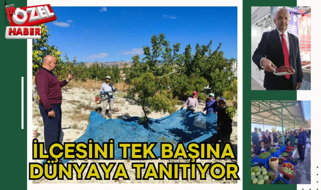 İlçesini tek başına dünyaya tanıtıyor