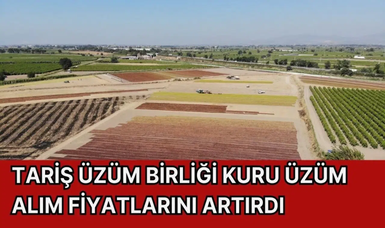 TARİŞ Üzüm Birliği kuru üzüm alım fiyatlarını artırdı