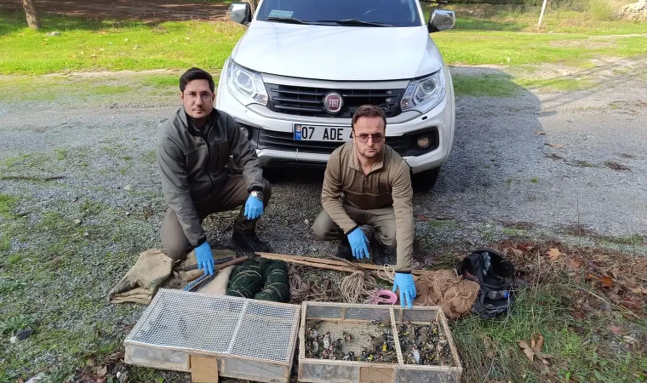 Saka kuşu avlamanın cezası 169 bin lira