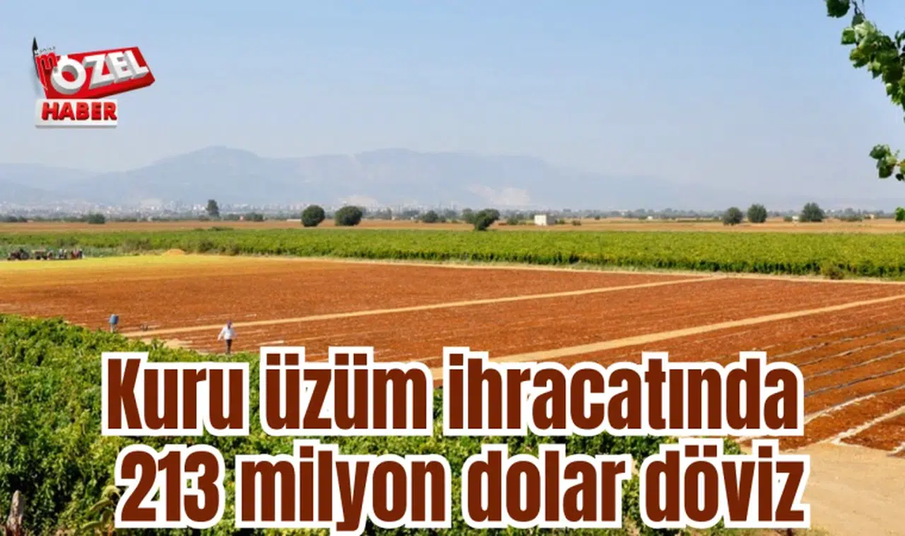 Kuru üzüm ihracatında 213 milyon dolar döviz 