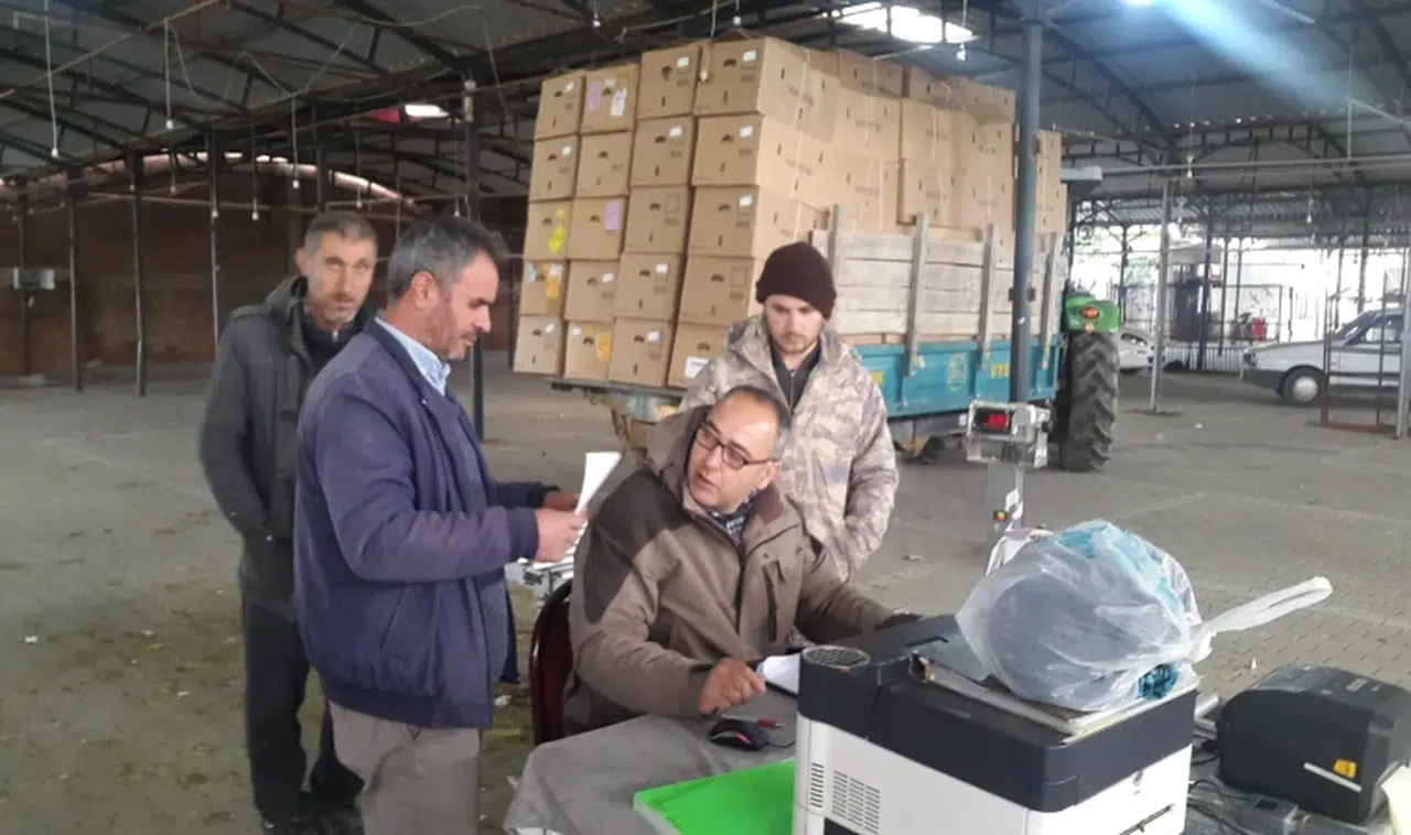 Manisa'da tütünün baş fiyatı 115 TL oldu