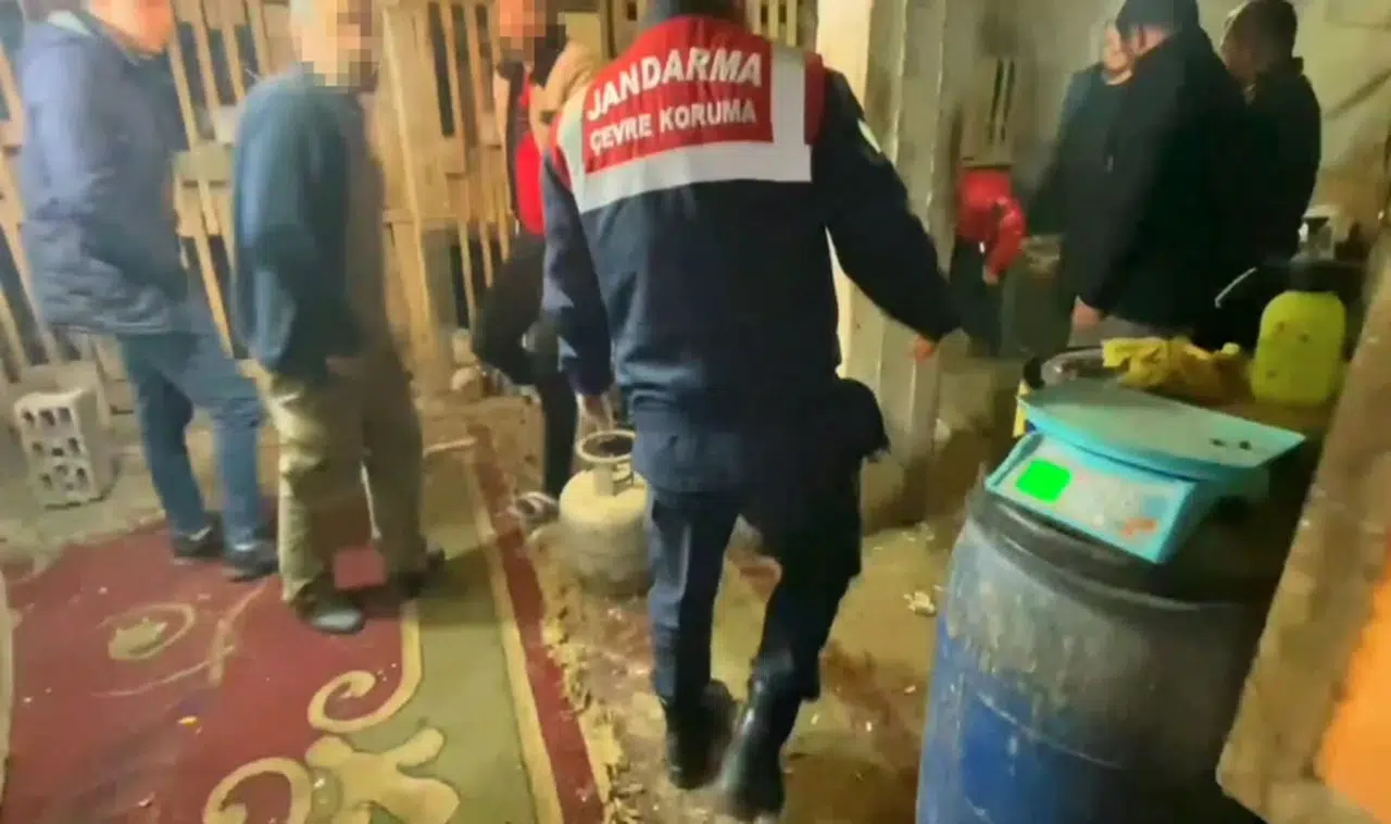 Yasa dışı horoz dövüşü yaptıran 7 şüpheli yakalandı