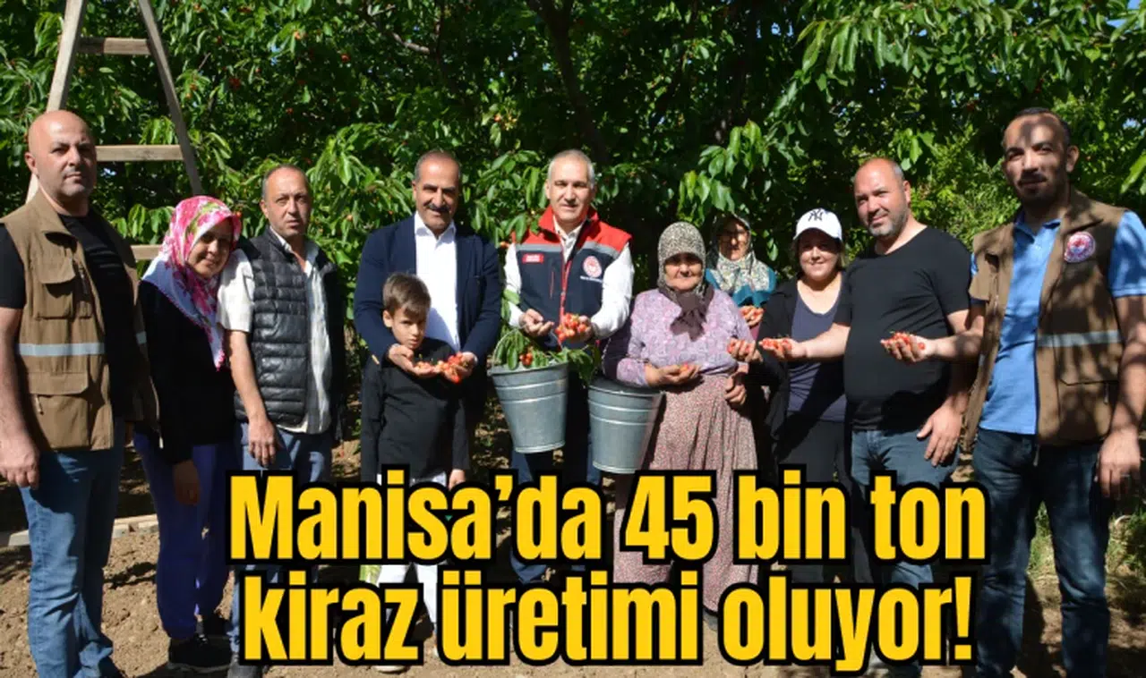Manisa’da 45 bin ton kiraz üretimi oluyor!