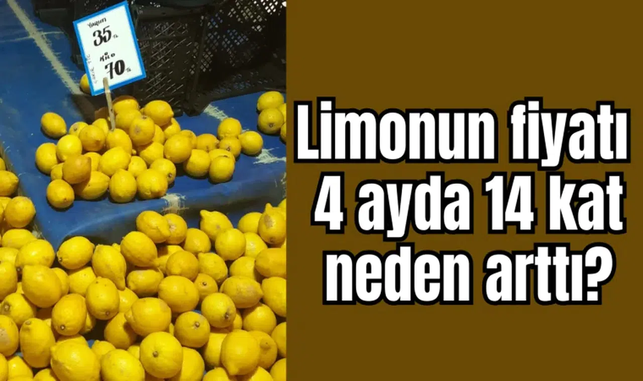 Limonun fiyatı 4 ayda 14 kat neden arttı?