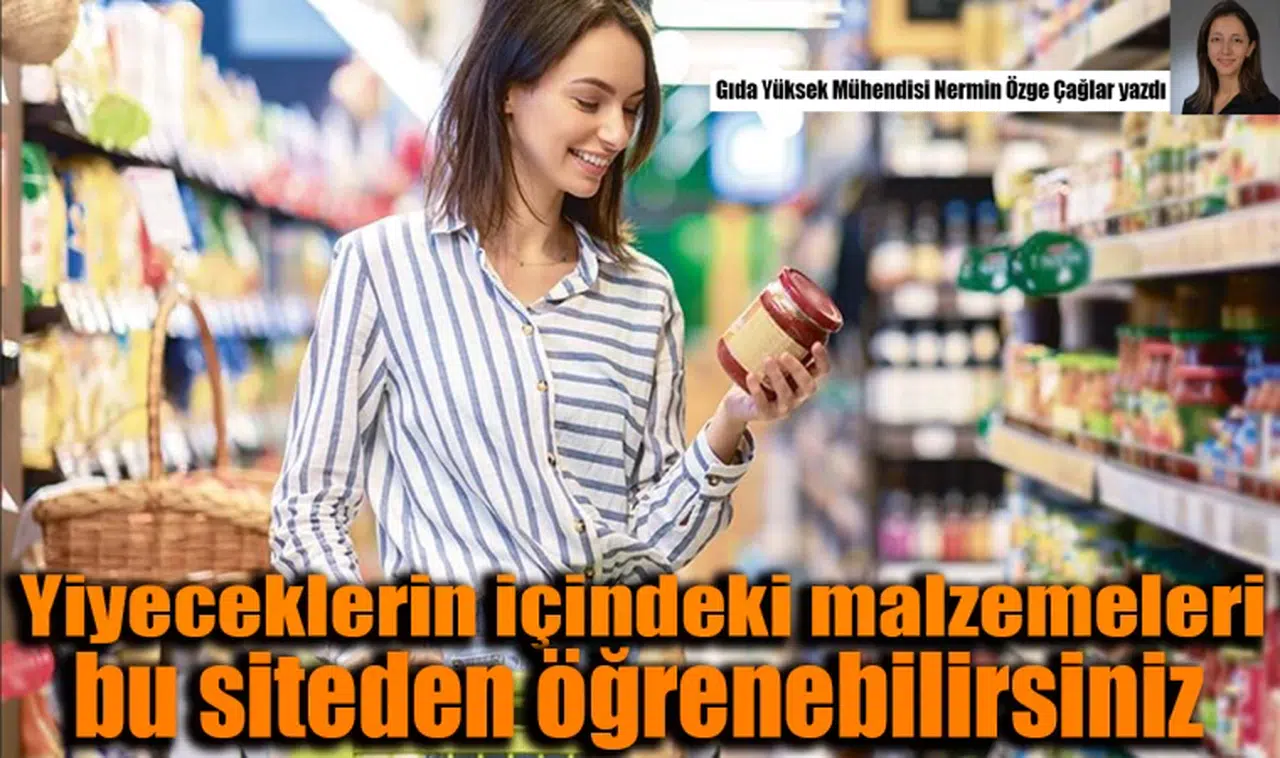 Türk Gıda Kodeksi Nedir?