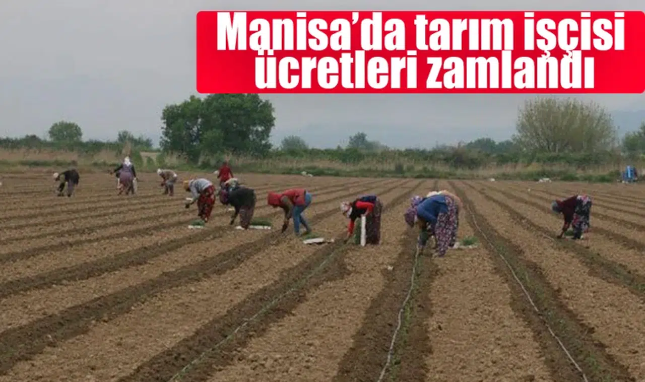 Manisa’da tarım işçisi ücretleri zamlandı