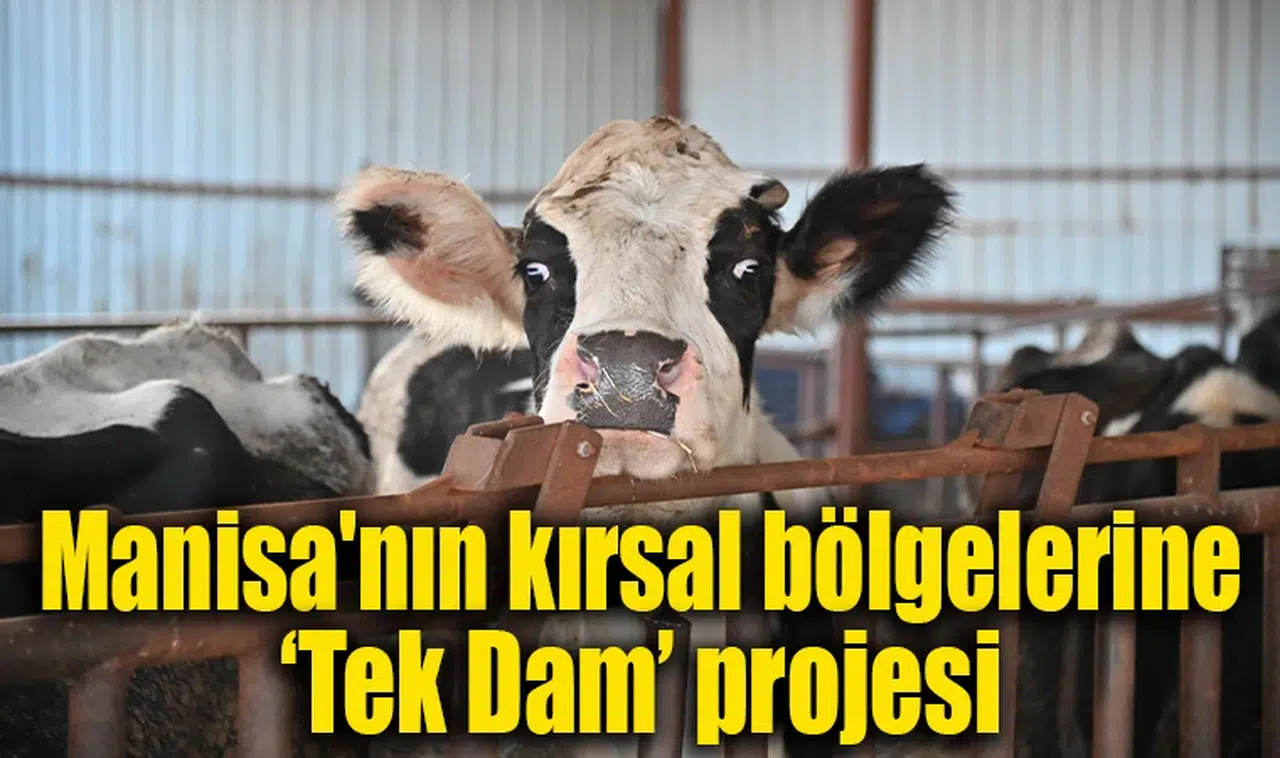 Manisa'nın kırsal bölgelerine ‘Tek Dam’ projesi