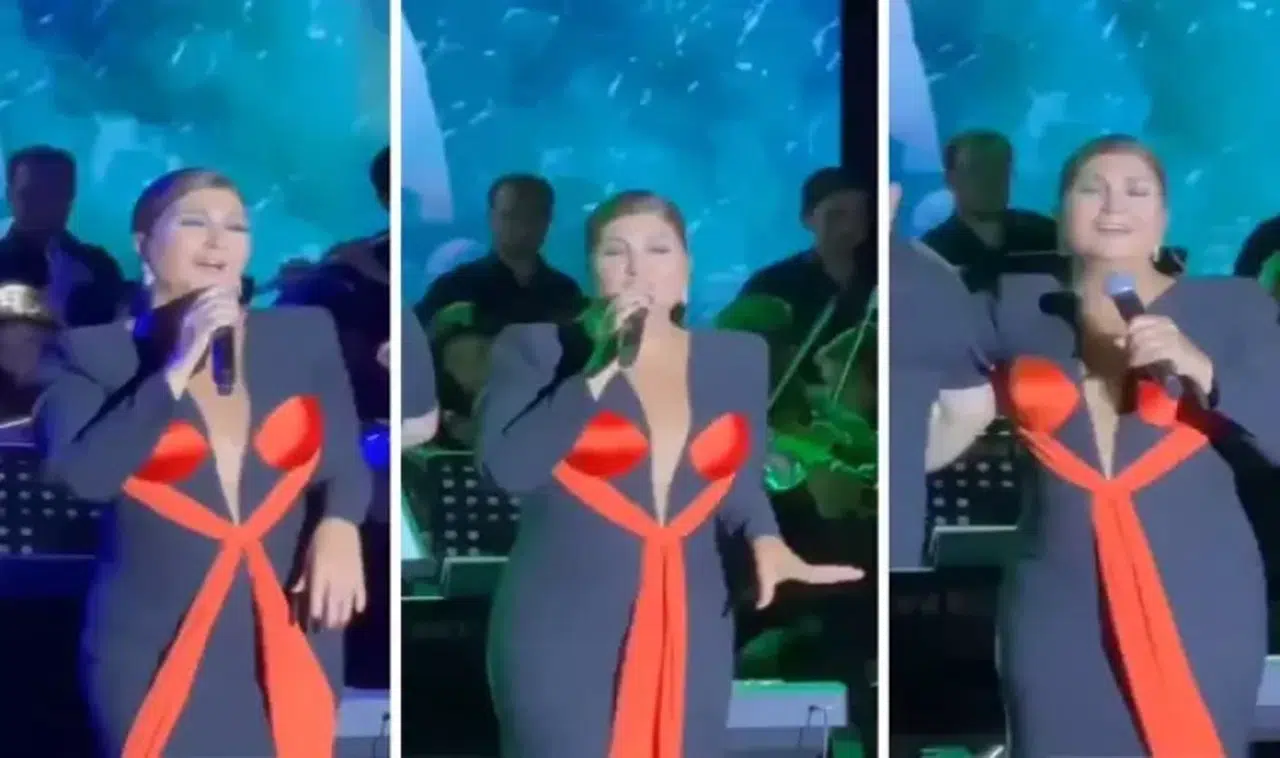 Sibel Can sahne kıyafeti olay oldu!