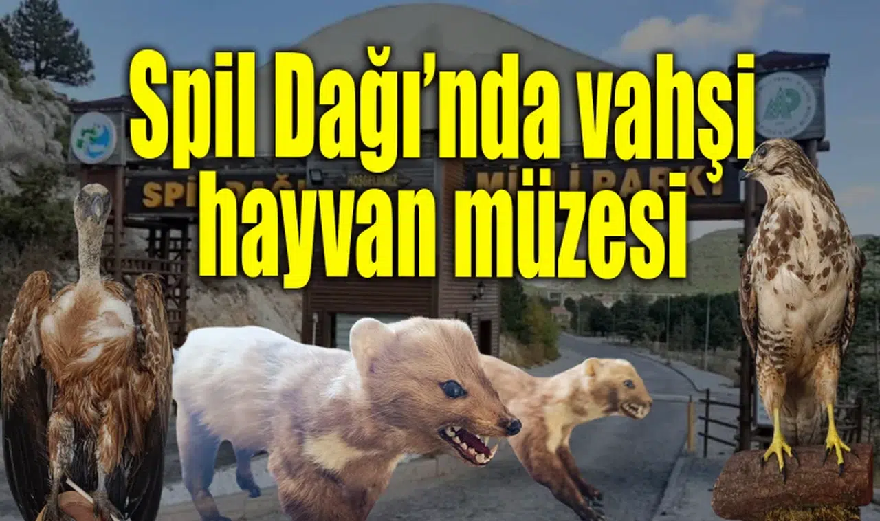 Müzede 25 vahşi hayvanın tahniti sergileniyor 