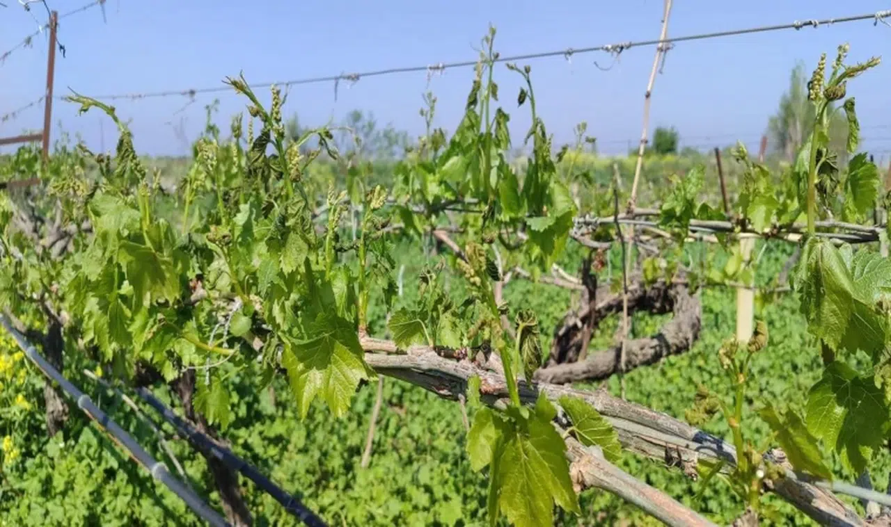 Afetzede üretici için başvuru süreci başladı
