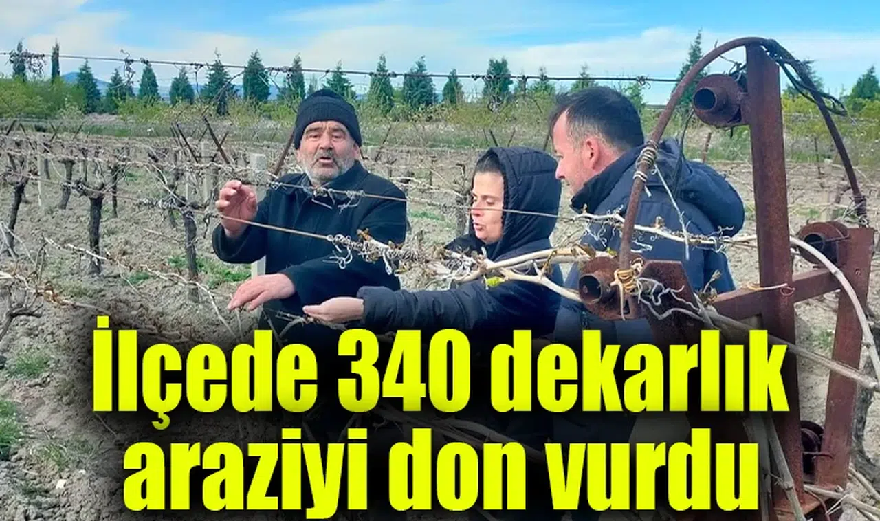 İlçede 340 dekarlık araziyi don vurdu