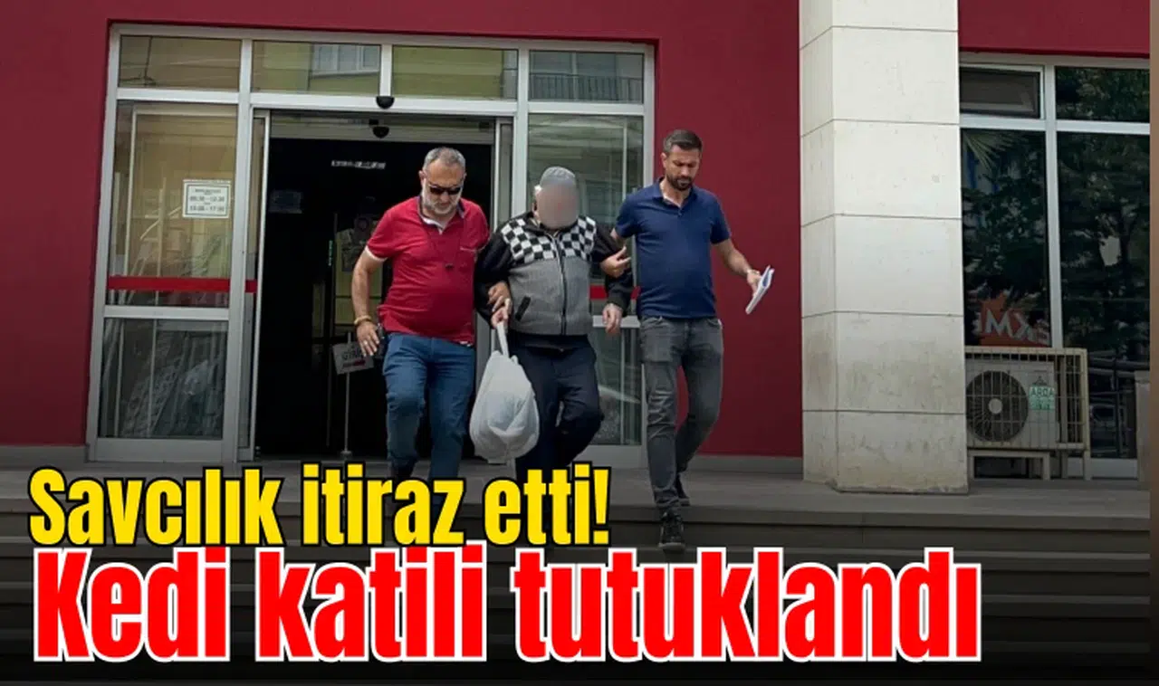 Savcılık itiraz etti! Kedi katili tutuklandı