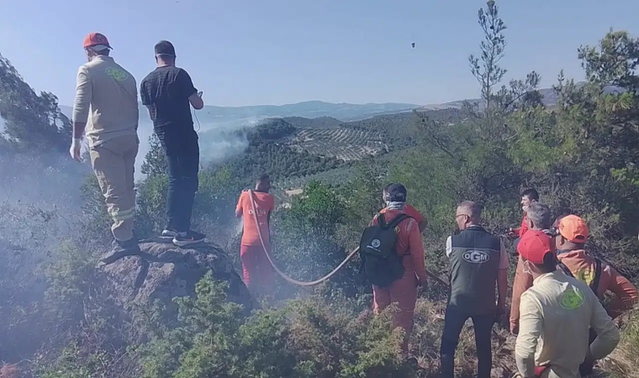 Alevlerin içinde hayatta kalma mücadelesi