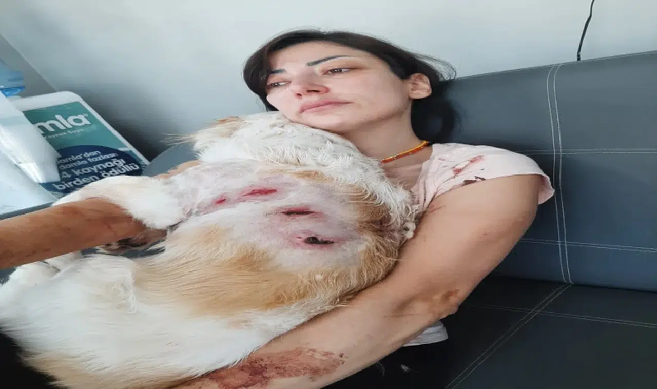 Bursa'da kangal dehşeti