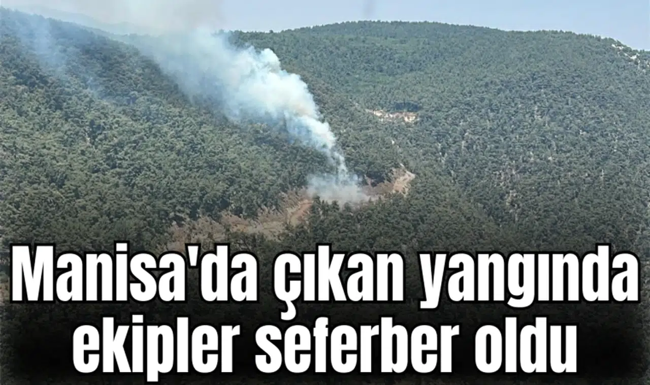 Manisa'da çıkan yangında ekipler seferber oldu