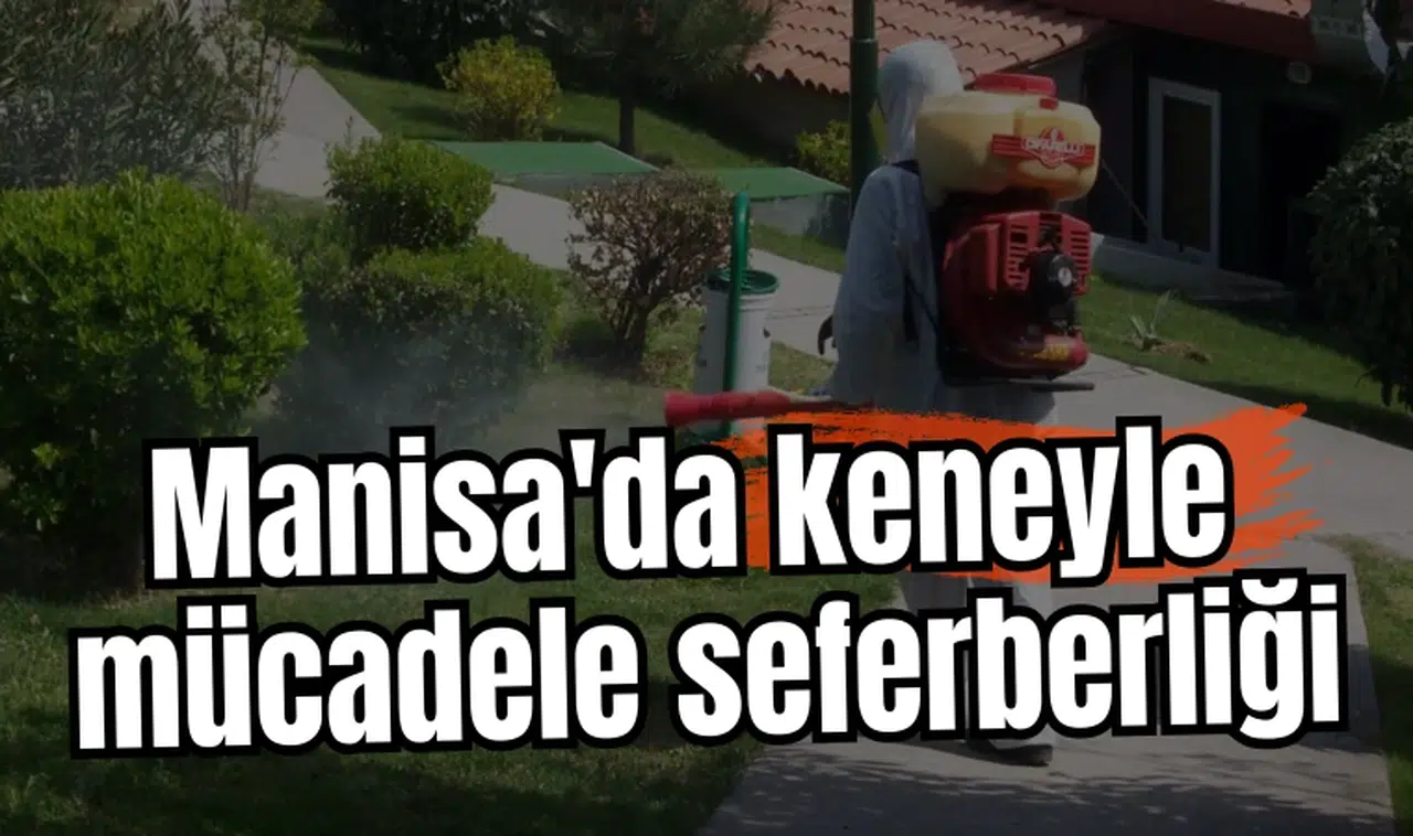 Manisa'da keneyle mücadele seferberliği