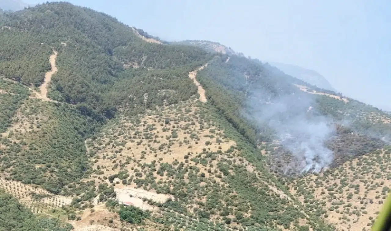 Manisa'da orman yangını: havadan ve karadan müdahaleler devam ediyor