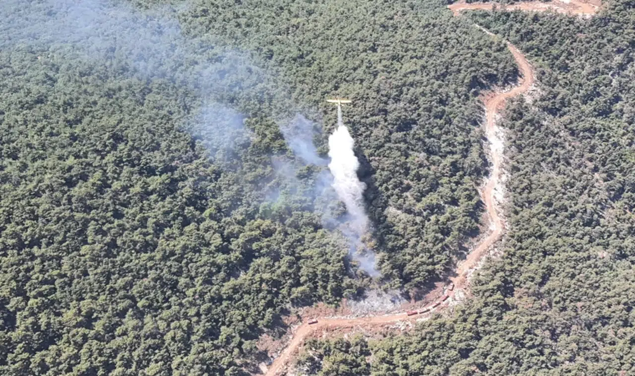 Manisa'da orman yangını kontrol altına alındı