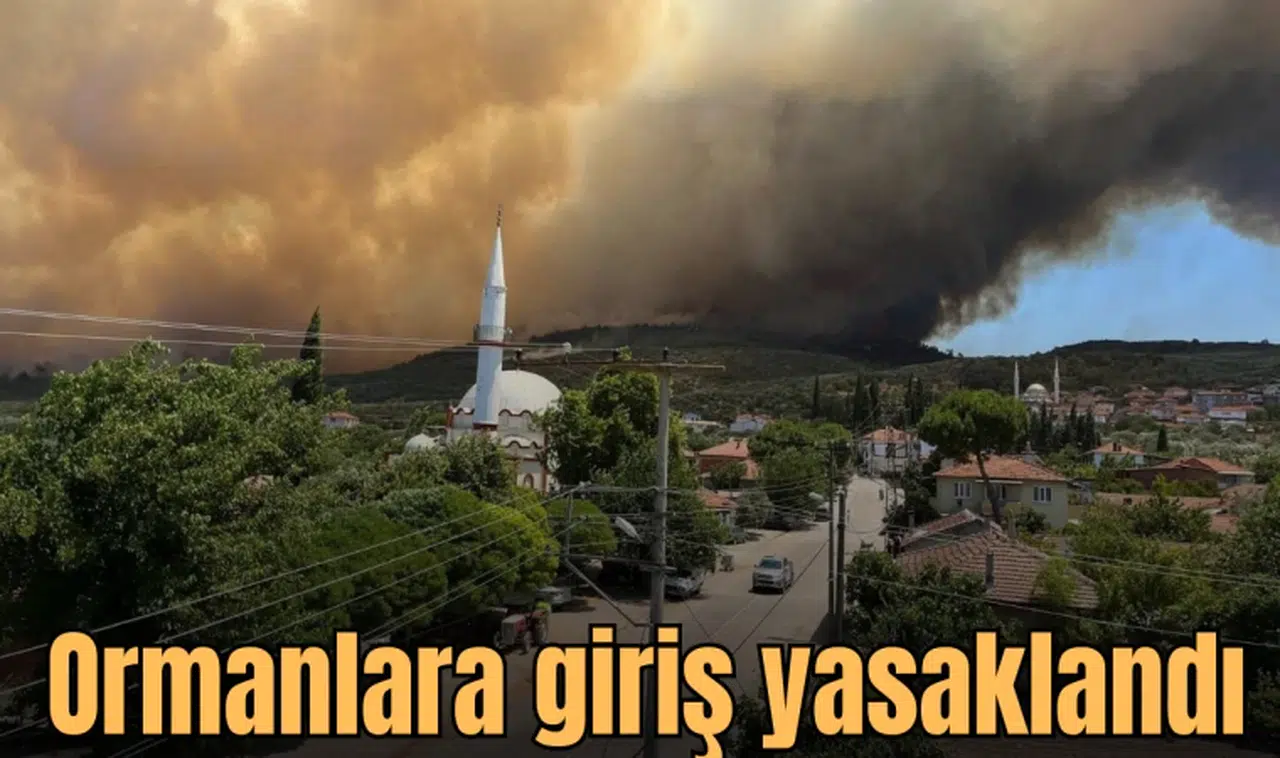 Manisa’da ormanlara giriş yasaklandı 