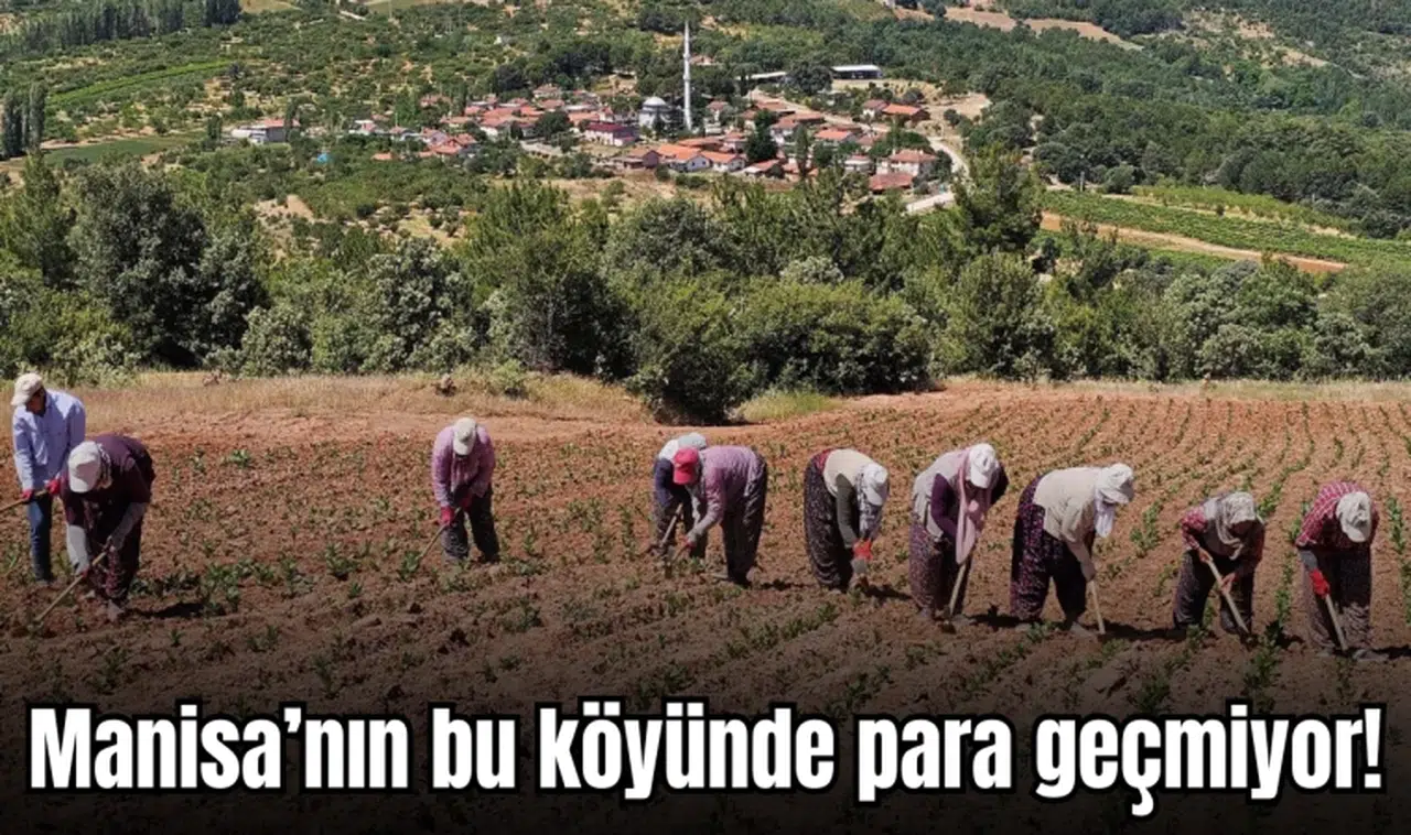Manisa’nın bu köyünde para geçmiyor!