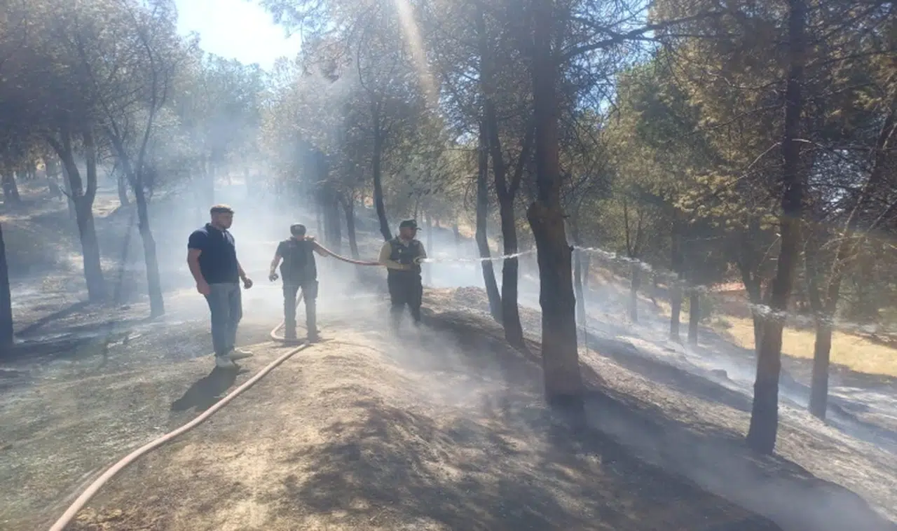 Salihli'de ki yangına kısa sürede müdahale