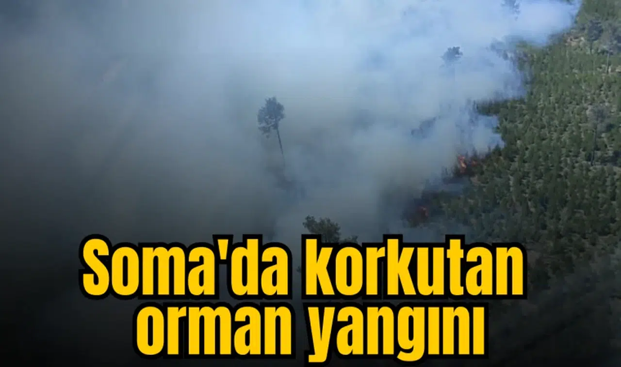Soma'da korkutan orman yangını
