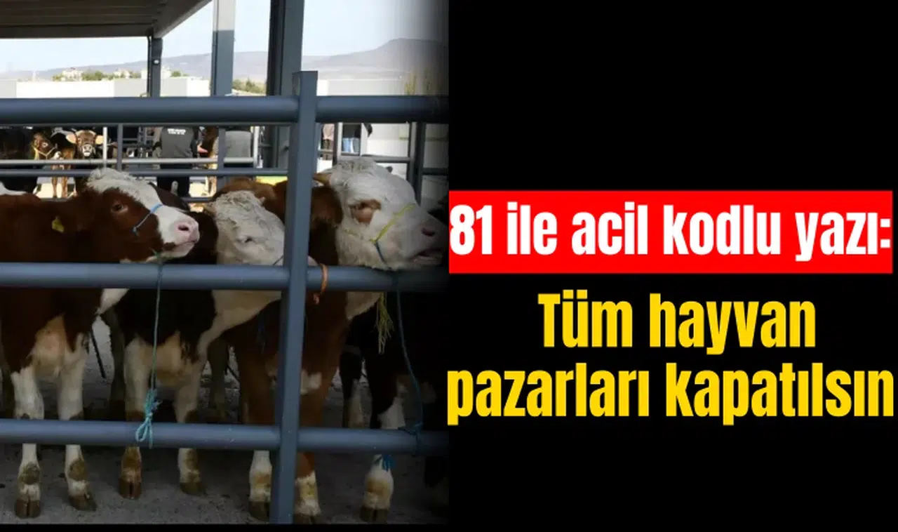 81 ile acil kodlu yazı: Tüm hayvan pazarları kapatılsın