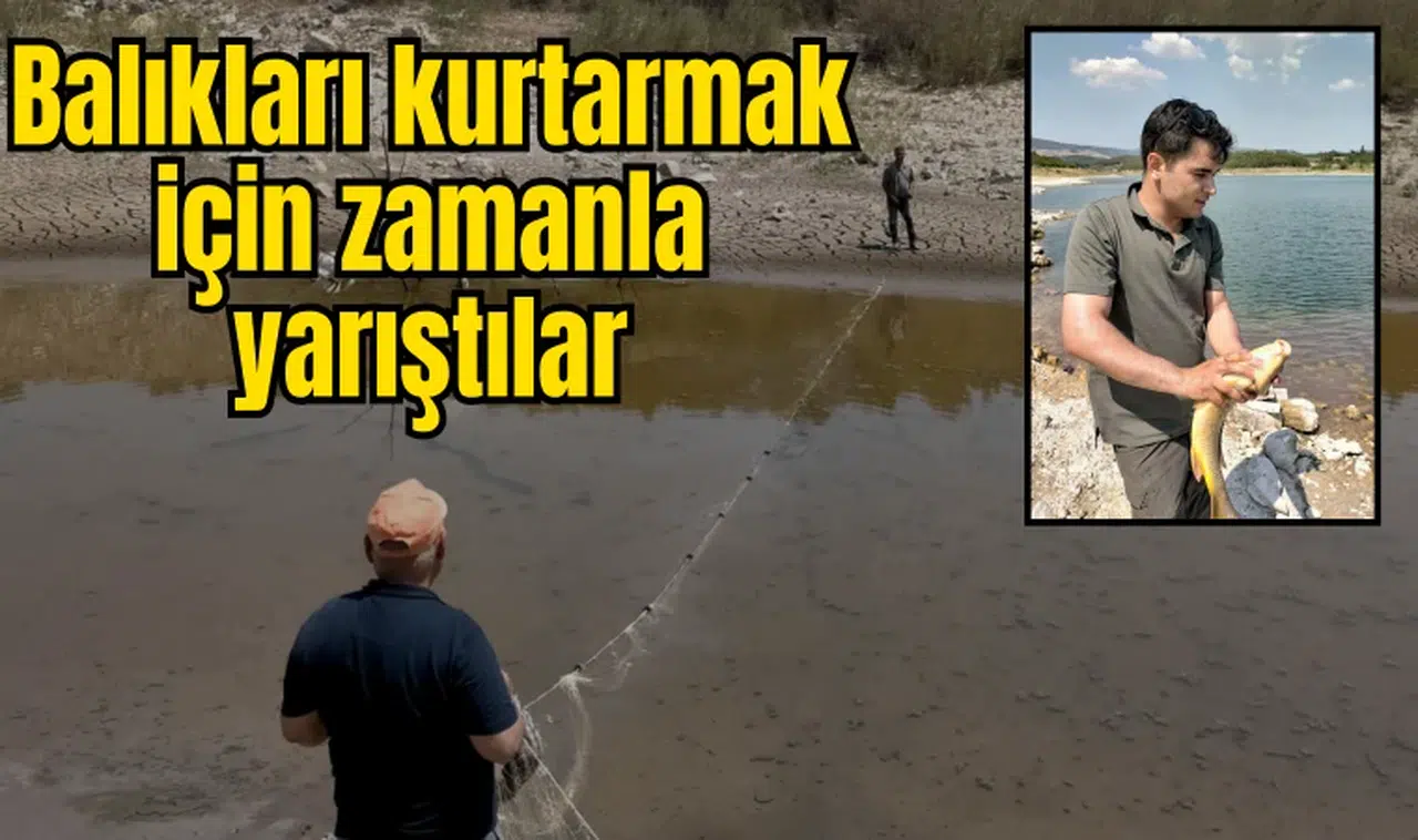 Balıkları kurtarmak için zamanla yarıştılar