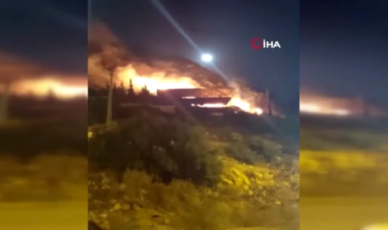 Evlilik teklif etmek isterken ormanı yaktı