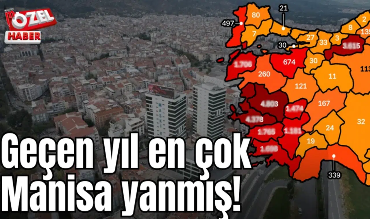 Geçen yıl en çok Manisa yanmış!