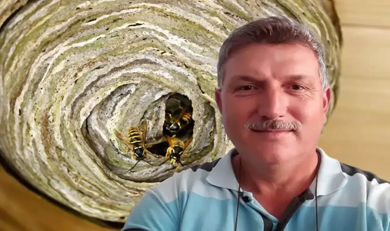 Hobi bahçesi sonu oldu