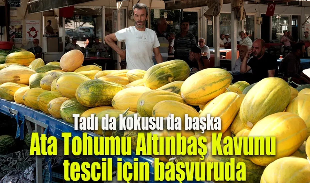 Karaoğlanlı’ya has Altınbaş Kavununa coğrafi işaret başvurusu yapılacak 