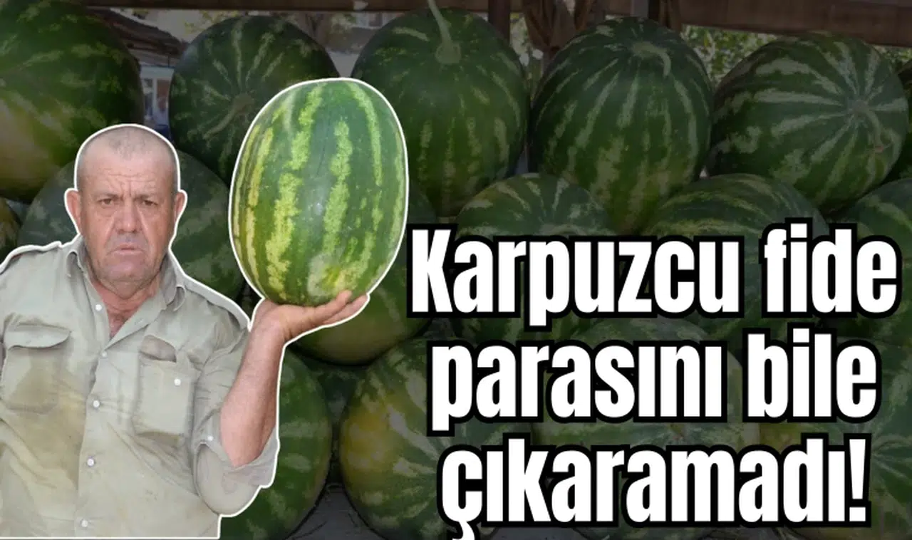 Karpuz üreticisi bu yıl umduğunu bulamadı