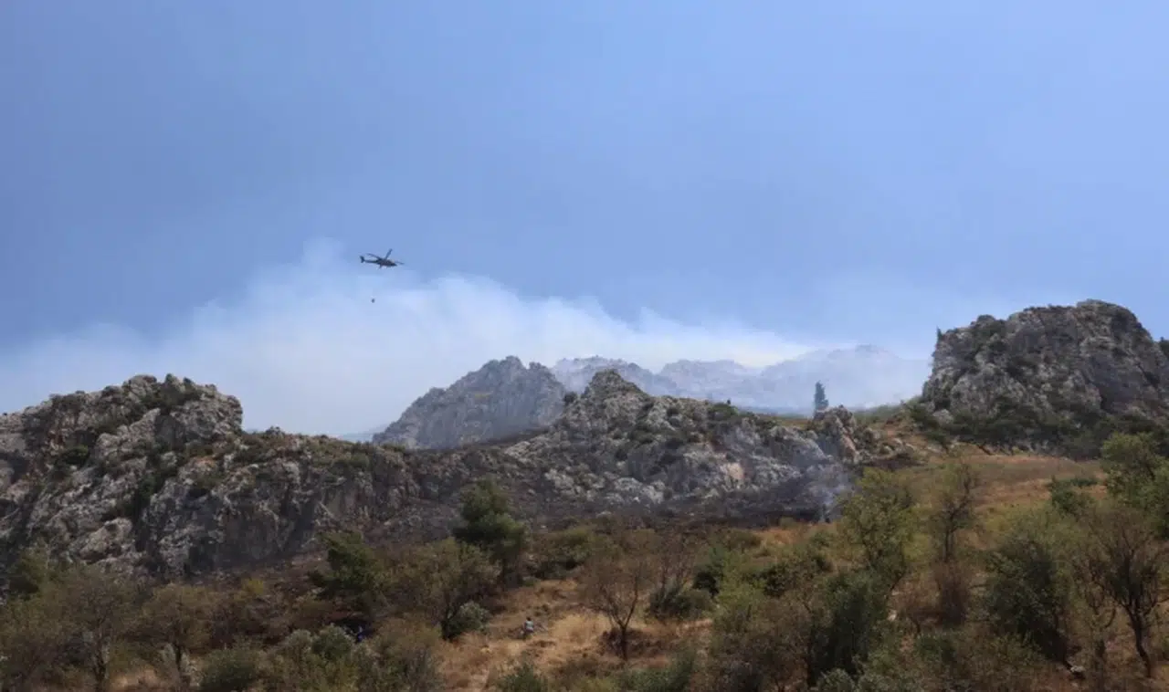 Korkutan orman yangını