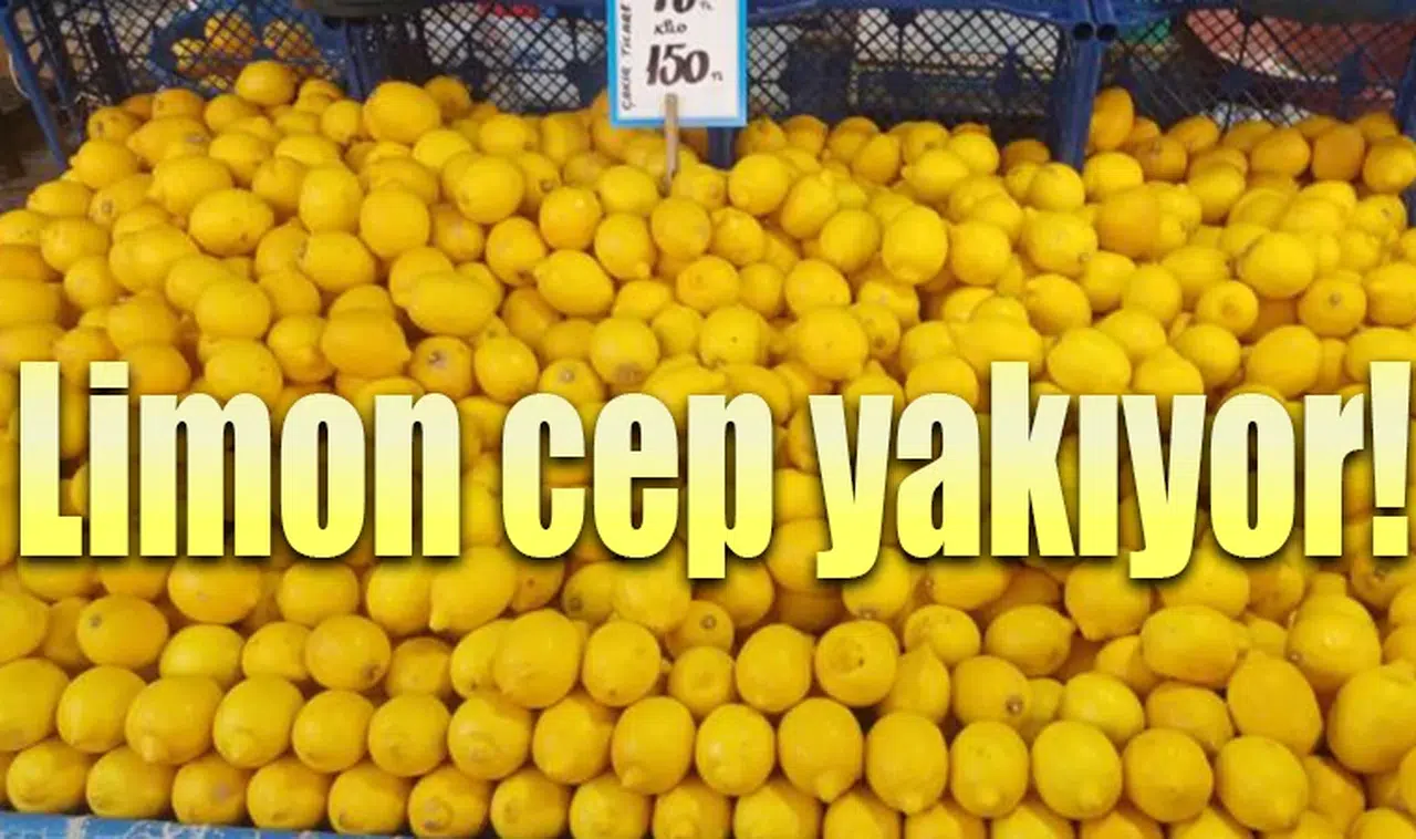 Limon cep yakıyor!