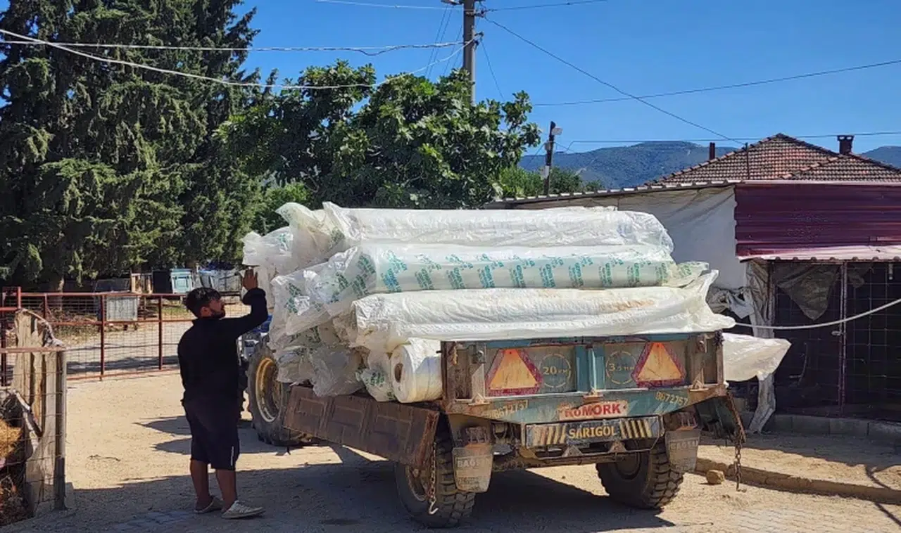Manisa'da üzümler örtü altına alınıyor