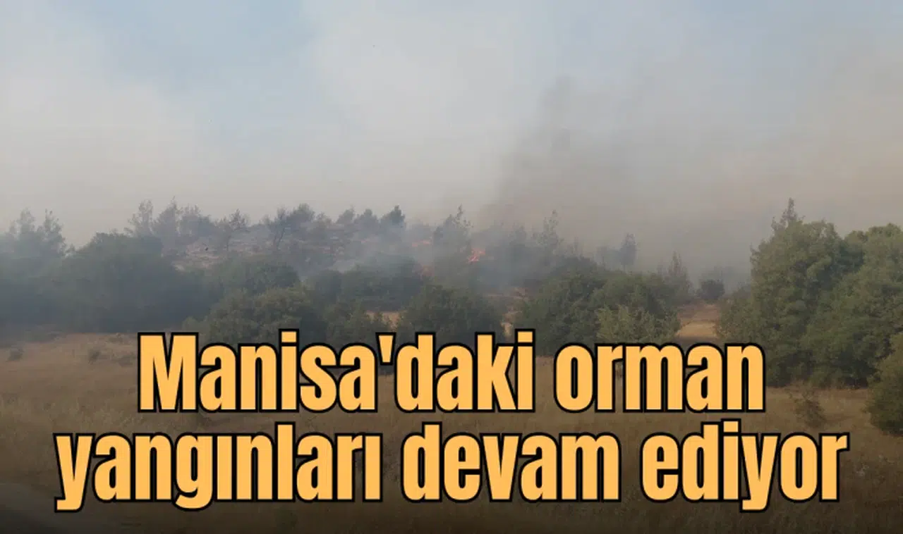 Manisa'daki orman yangınları devam ediyor