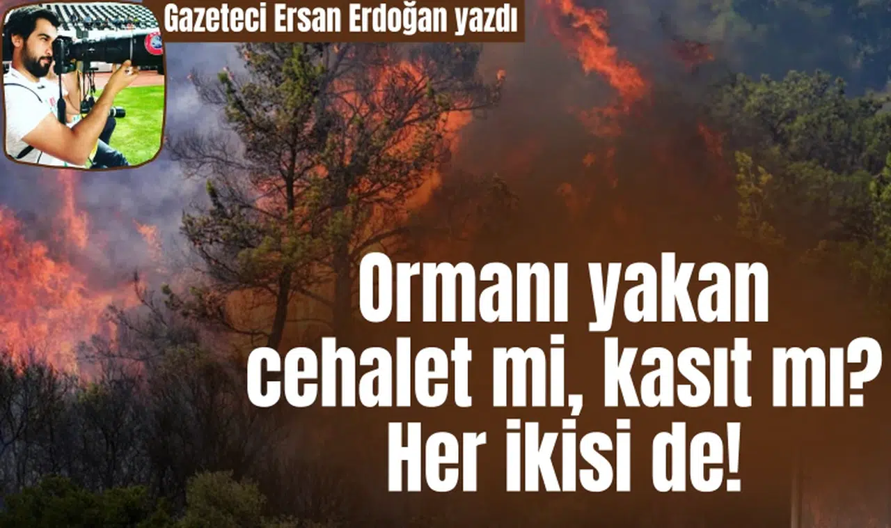 Ormanı yakan cehalet mi, kasıt mı? Her ikisi de!