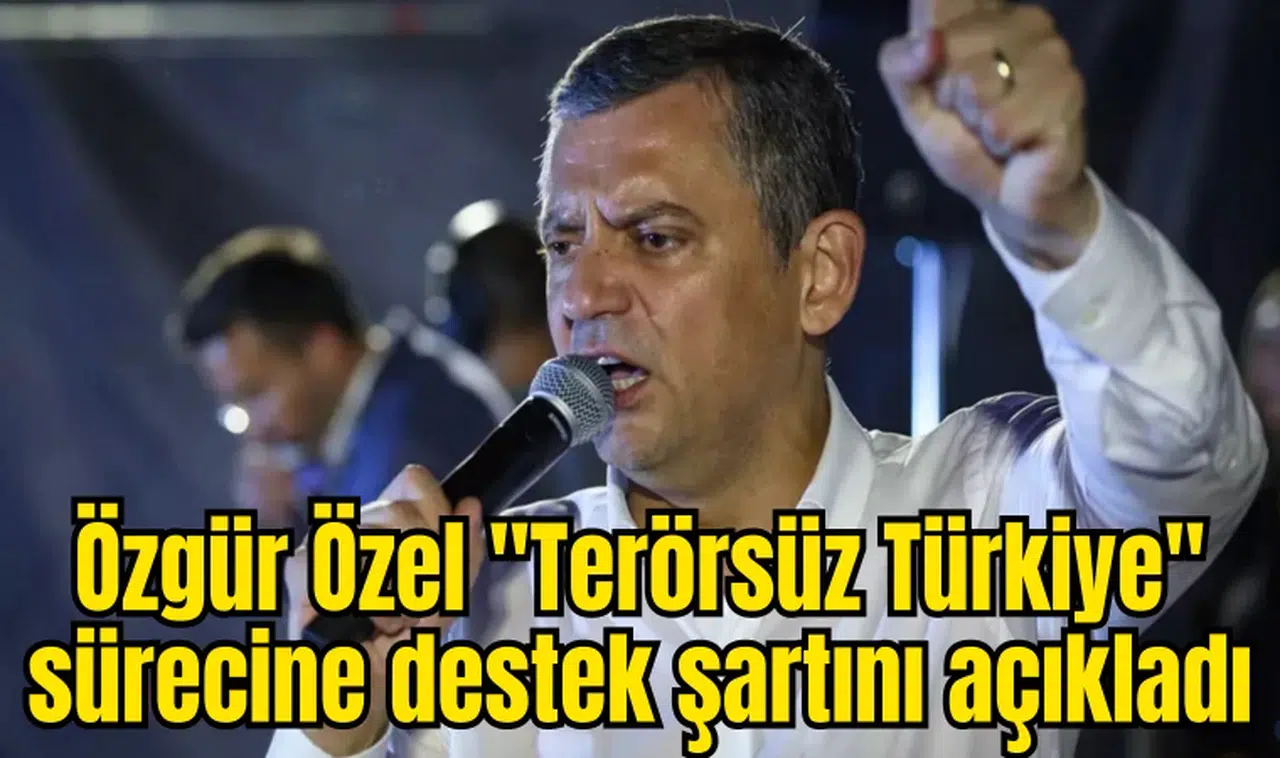 Özgür Özel "Terörsüz Türkiye" sürecine destek şartını açıkladı