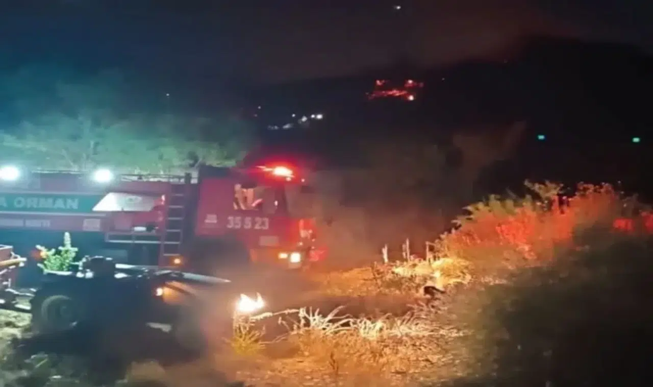 Turgutlu’daki orman yangını bakın nasıl çıkmış